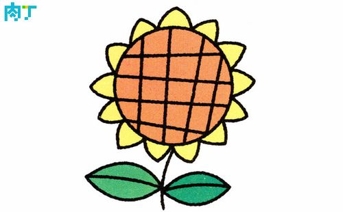 生活欣欣向荣,生活灿烂.