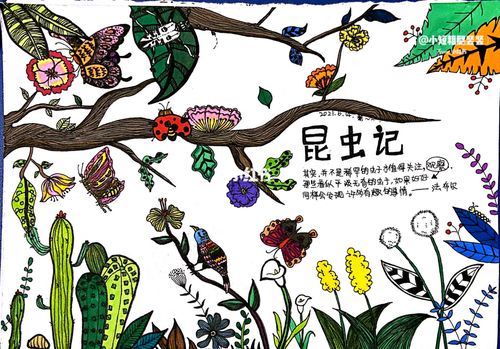 儿童简笔画《昆虫记94》_简笔画_美术_人文_绘画