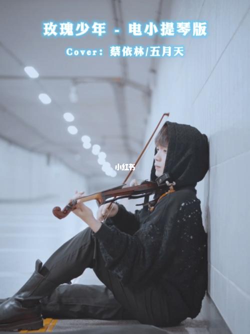 来听听小提琴版玫瑰少年震撼人心的声音