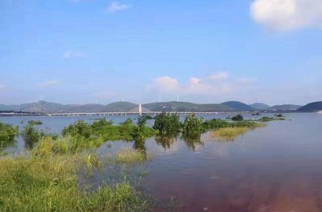 近30年全省投资最大的水利工程!庄里水库建设的"滕州担当".
