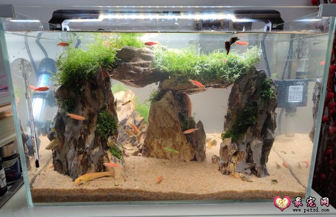 鱼缸造景效果图之松皮石造景图集及方法