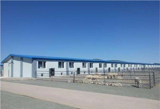 而牛棚的立柱一般采用尺寸比较大的方钢,因为牛本身的力气比较,尤其是