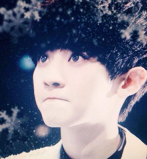 exo 朴灿烈 朴灿烈你484天使.