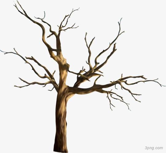 树干树枝边框水墨枯树枝树枝绿叶松树枝小鸟和树枝大雪里的枯树树枝