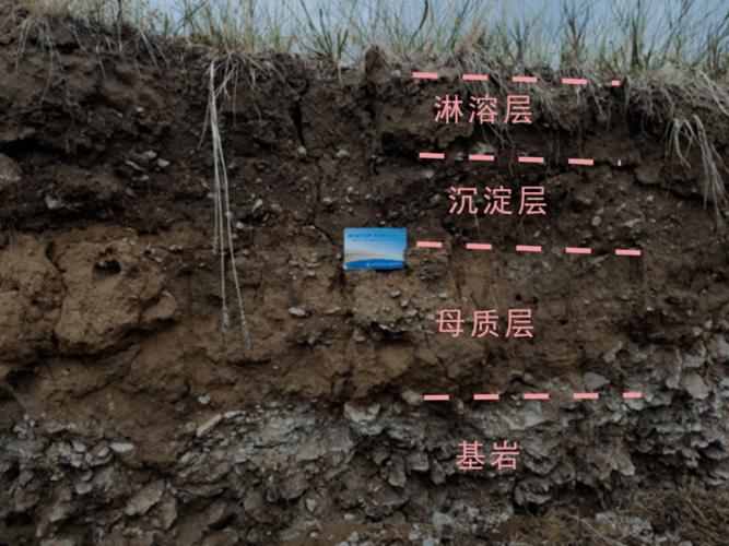 土壤剖面
