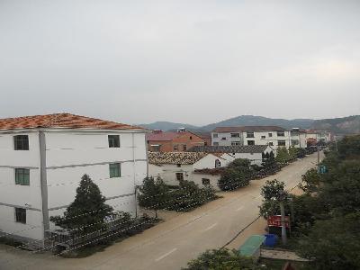 山口村