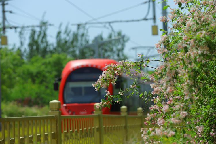 漂亮的西郊线小火车