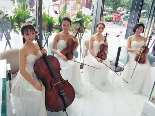 龙岗区小提琴演出,四重奏,古筝,二胡,笛子各种管弦乐