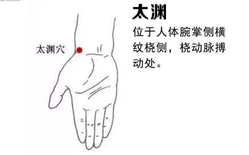 太渊穴的作用,太渊的准确位置图保健养生秘诀