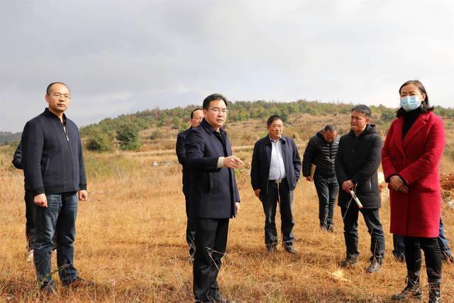 近日,富源县委副书记,县长侯开苑率队调研重点项目工作.