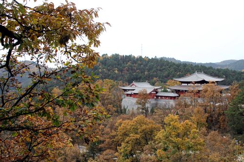 夏纳凉爽,秋观红叶,全年养生的地方--黄陵国家森林公园