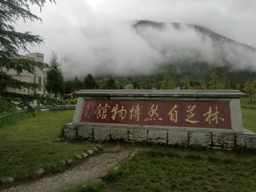 林芝博物馆
