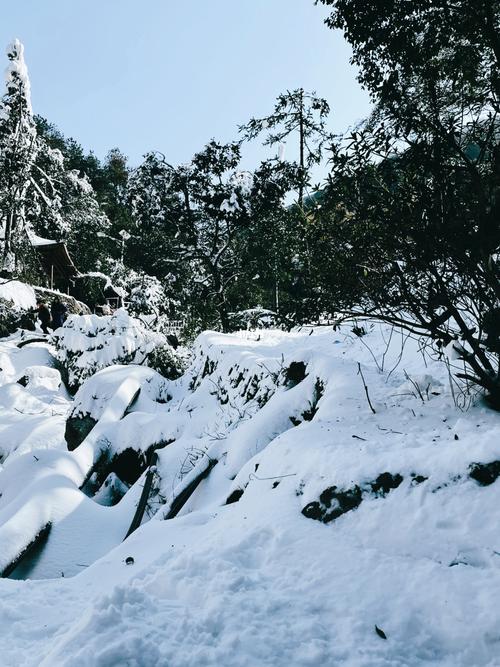 温州白云山度假村_度假村_郊游_沙滩_春天去哪玩_冬天就要玩雪_出行