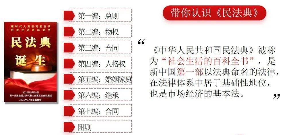【处长开课了⑧】吴飞《〈民法典〉案例解读——以案释法》