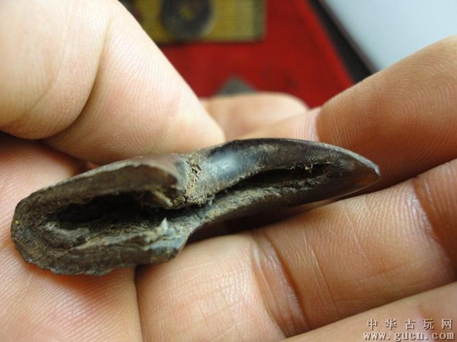 辟邪老x虎x爪子一只