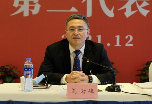 区委副书记代区长刘云峰参加代表团审议时指出集中优势联动发展