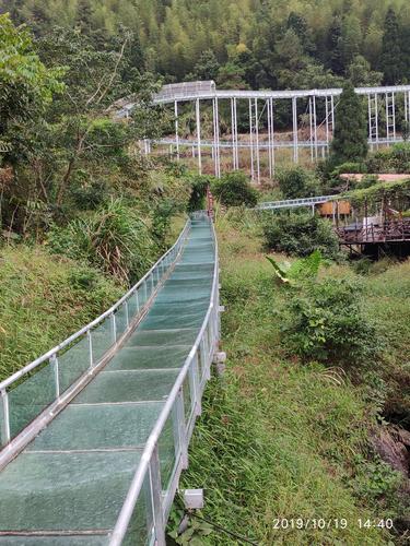 其它 高州仙人洞一曰游 写美篇 玩完了玻璃桥,我们沿着瀑布继续往上爬