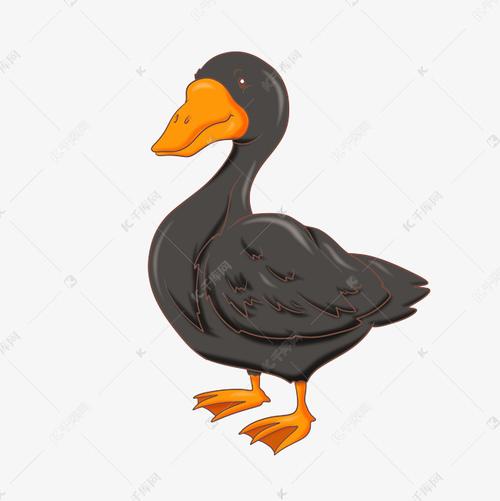 黑色小动物鸭子
