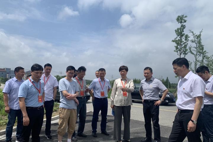 桐乡3家企业跻身全省创新能力百强榜单