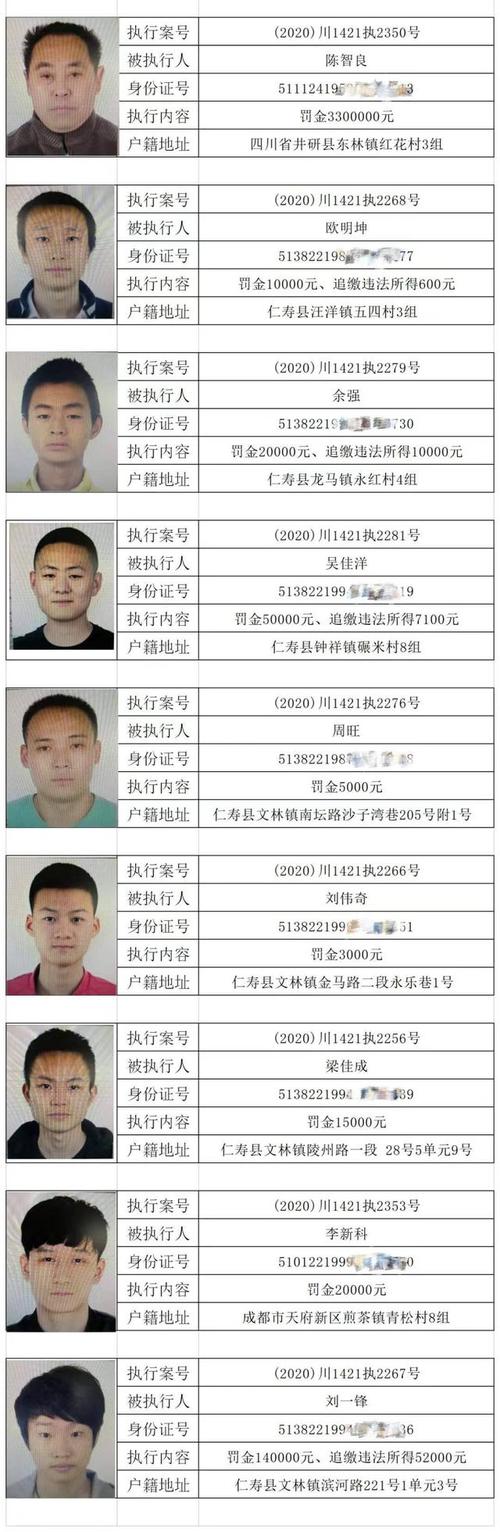 四川仁寿法院征集20名涉黑涉恶者财产线索 被执行罚金