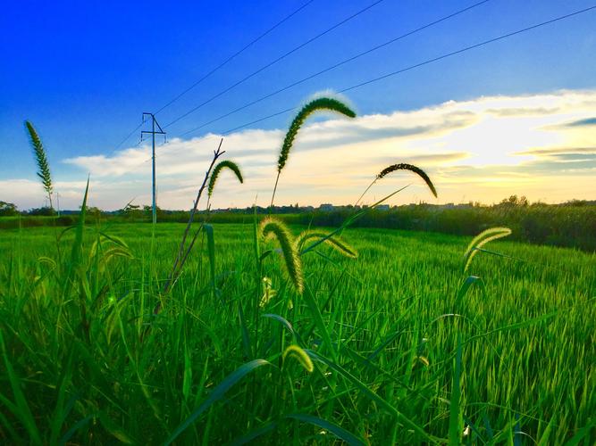 还在大自然赋予的辽阔的天,地, 山川,河流,田野的自然风光.