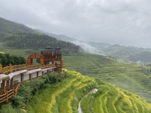 红尘外云水间-紫鹊界之游-紫鹊界梯田景区