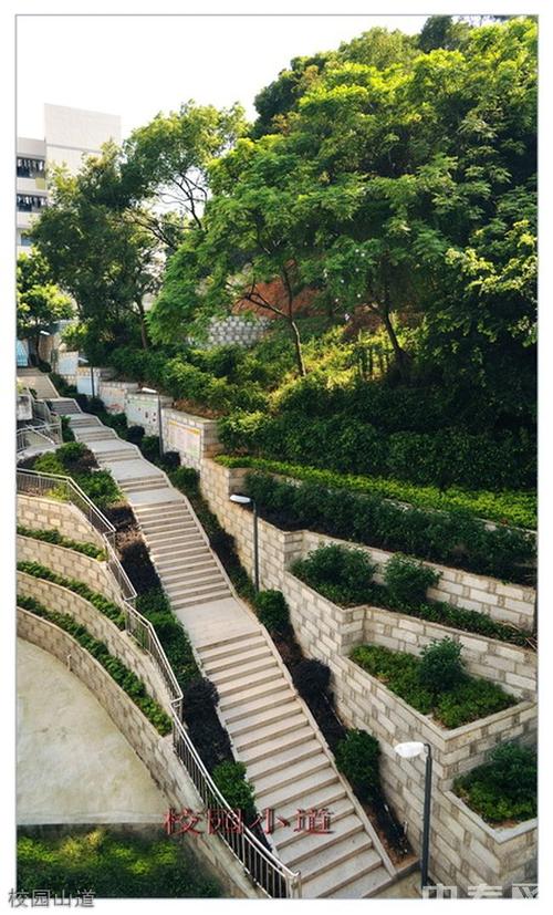 长乐高级中学普高