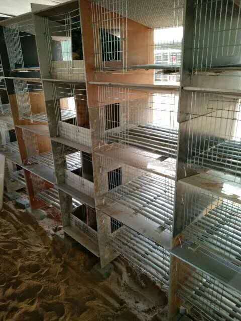 安徽优质兔笼养殖设备规格