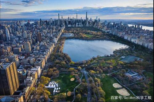 在这场大流行的最初几周,曼哈顿中央公园的鸟瞰捕捉到了新冠肺炎医院