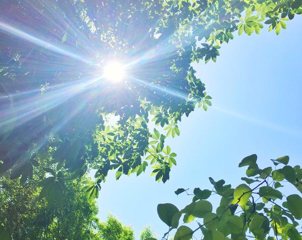 襄阳新房 襄城区楼盘 > 襄阳恒大御景 | 云栖 五月初夏 阳光灿烂明媚