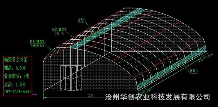 cad大棚整体结构图设计图纸 cad施工图纸代画平面图