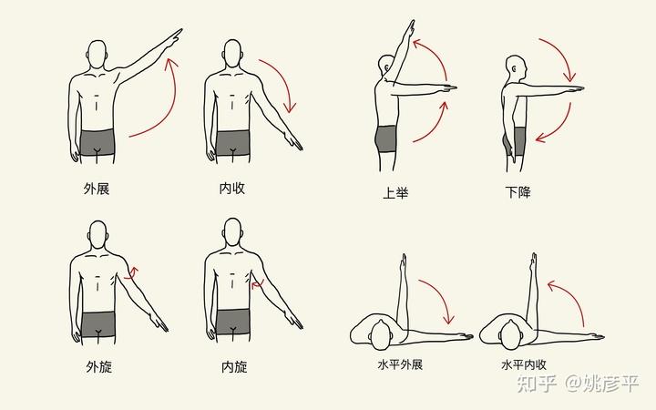 肩关节运动对于颈部的影响.