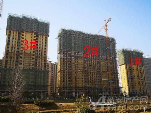 碧桂园平侯府3月份项目进度 高层正在粉饰外立面