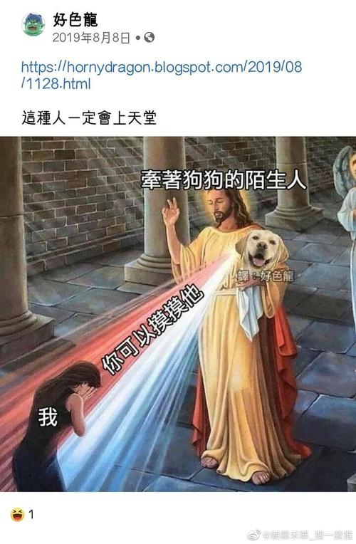 【已找到】求一个耶稣狗主人表情包"你可以摸摸它"!先