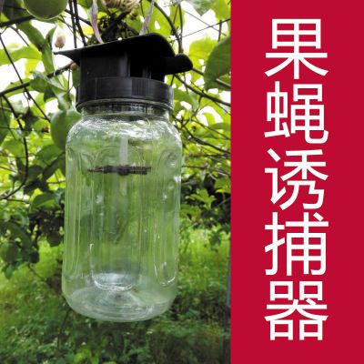 百香果果蝇诱捕器瓜果花卉实蝇诱捕剂诱虫器针锋诱虫瓶10个包邮