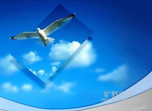 患难是把你带向高处的阶梯(两则)