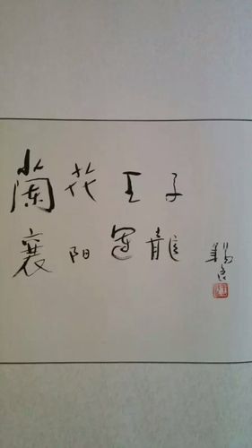 (王锡良给与姚运龙兰花艺术的认可)