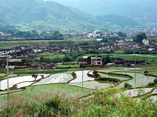 小池镇位于龙岩市新罗区西部,距离城区18公里,下辖13个行政村,84个