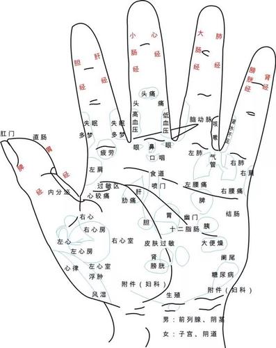 手部经络分布图