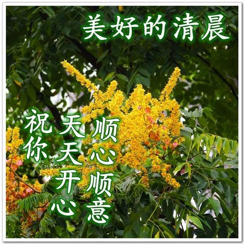 秋天精美早上好祝福图片 最新秋天早晨问候图片