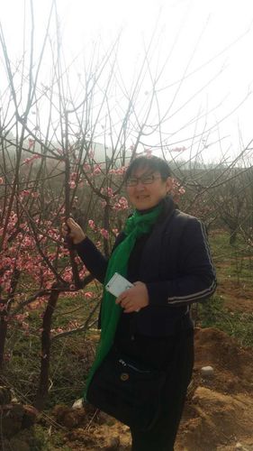 谢庄塔子山梅花基地