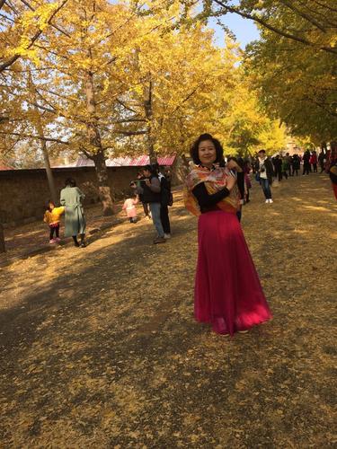 旅顺太阳沟银杏大道和樱花林美篇