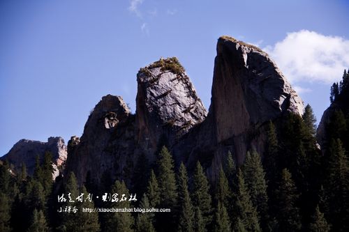 甘南印象·则岔石林