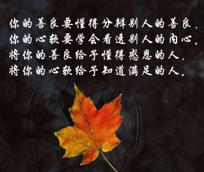 自然态度温和性格善良容易接近善良让给予更自然