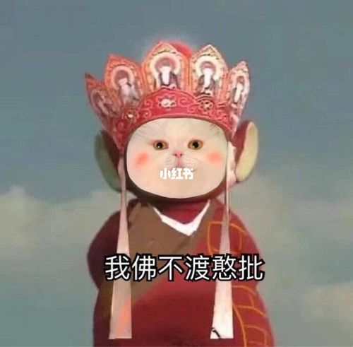 最近超火的唐僧表情包,我家猫真的合适hh_表情包_我最