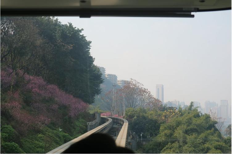 重庆开往春天的列车图片一览小编实拍