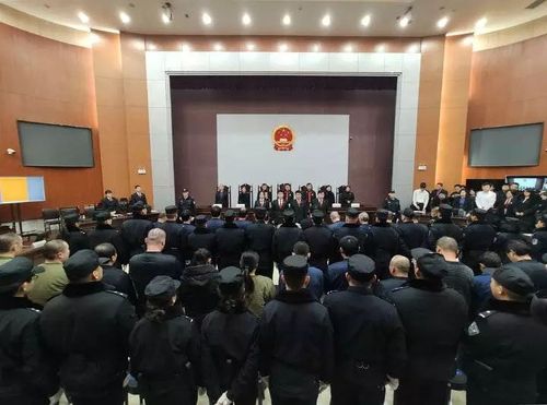 王雷,万莉等33人涉黑案宣判!王雷获刑25年