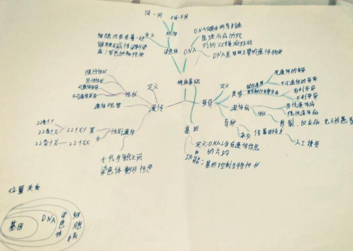 永远的回忆——生物思维导图