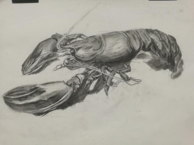 素描临摹5(素描班练习2-龙虾)