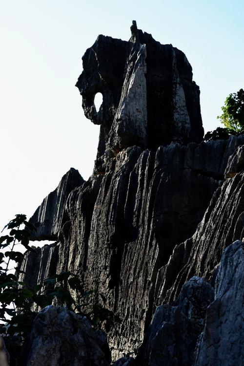 【纪检人·镜头】世界自然遗产——云南石林